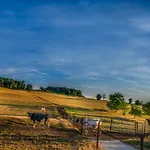 Vakwerkloft * Valkenburg aan de Geul