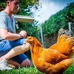 Vakwerkloft Feriegård