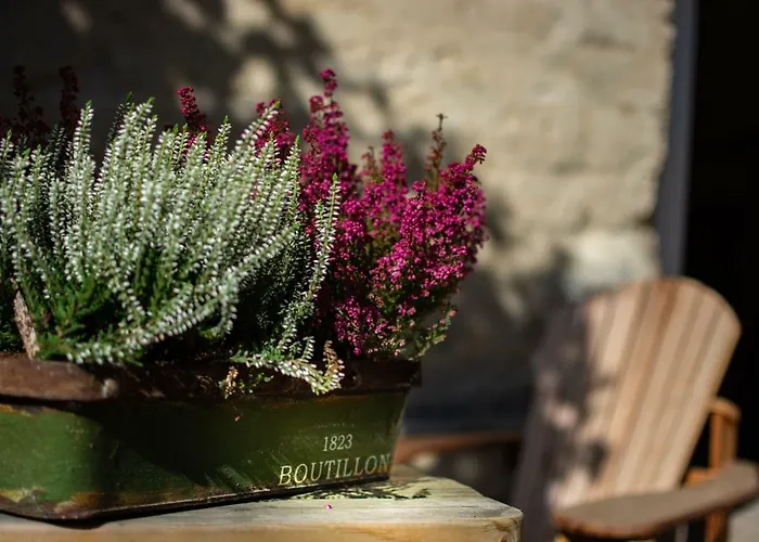 Farm stay Vakwerkloft