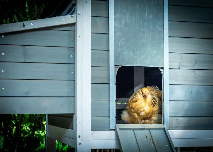 Farm stay Vakwerkloft *