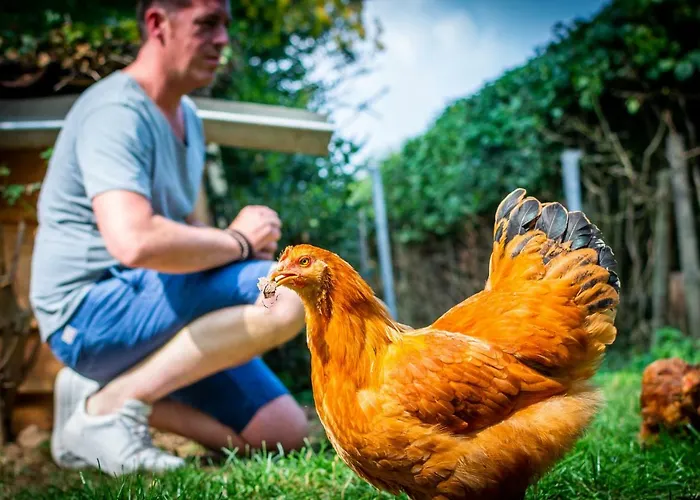 Vakwerkloft Farm stay