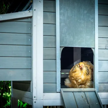 Gospodarstwo agroturystyczne Vakwerkloft *