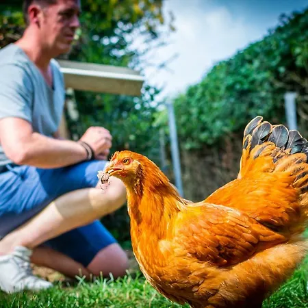 Vakwerkloft Gospodarstwo agroturystyczne