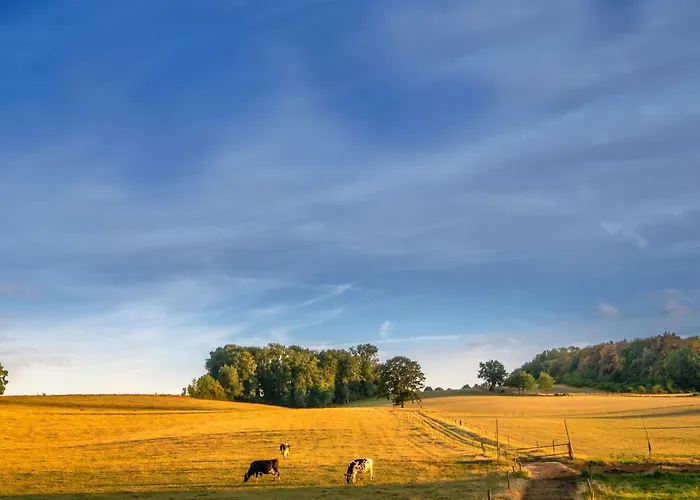 Vakwerkloft 法尔肯堡