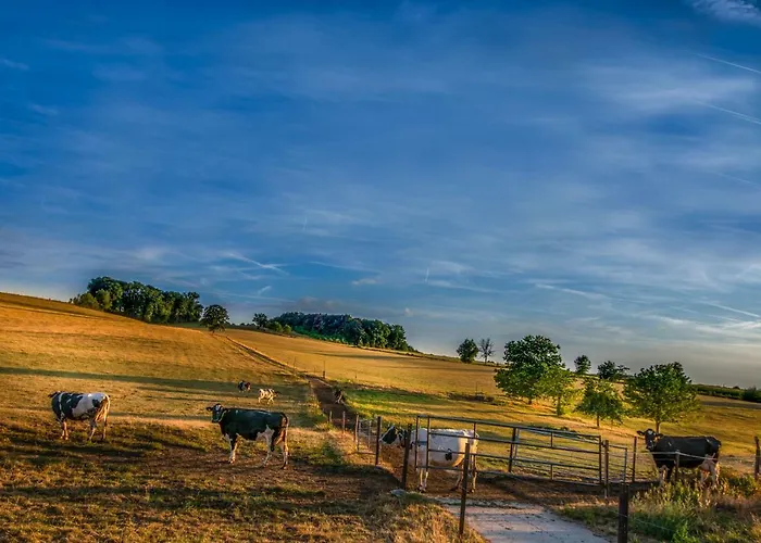 Vakwerkloft * 法尔肯堡