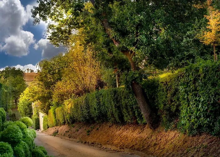 Çiftlik konaklama Vakwerkloft